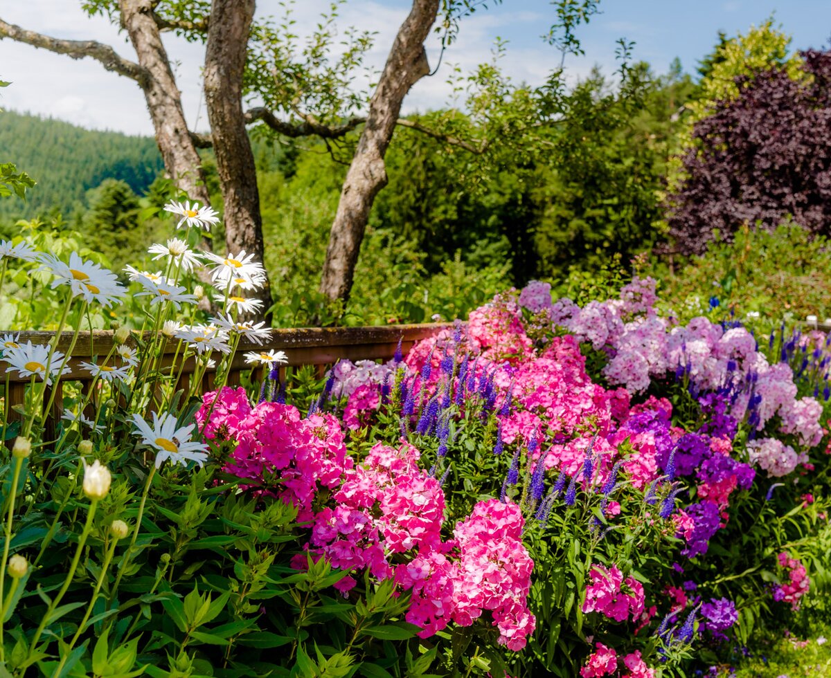 Blühende Blumen im Bauerngarten, Oststeiermark, Steiermark | © Urlaub am Bauernhof Steiermark / Wolfgang Spekner