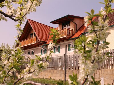 Außenansicht Obsthof Brandl, Steiermark | © Obsthof Brandl | Renate Brandl