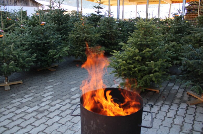 Wärmender Ofen im Freien beim Christbaumverkauf, Bauernhof Grain, Steiermark | © Kinder spazieren neugierig zwischen den Weihnachtsbäumen
