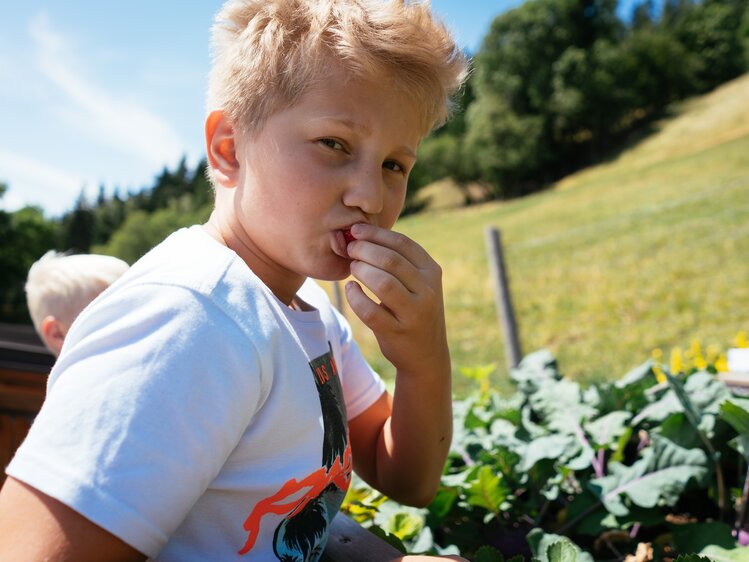 Bub nascht etwas am Hochbeet | © Urlaub am Bauernhof Steiermark / Daniel Gollner
