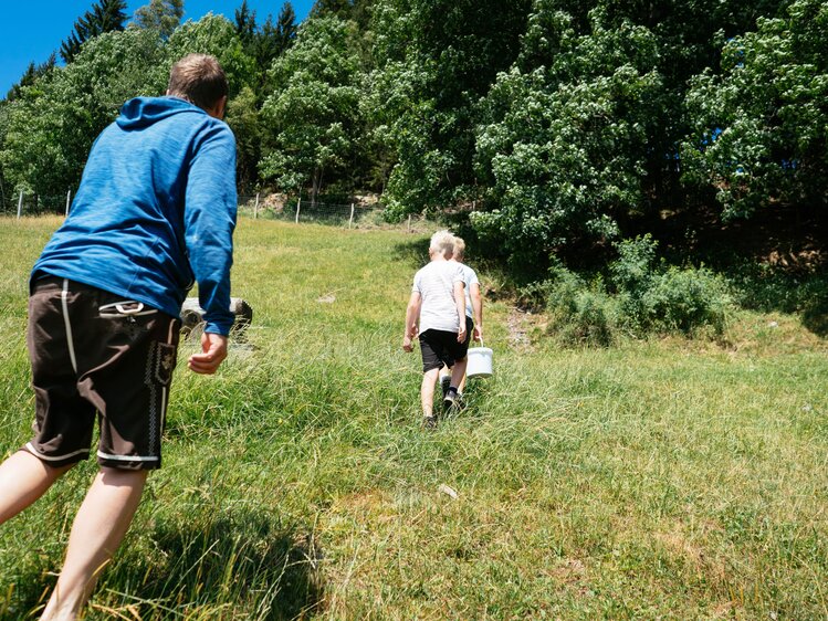 Bauer mit Lederhose und blauer Jacke mit Kapuze und zwei Buben mit dunklen, kurzen Hosen und weißen T-Shirts gehen über eine Wiese in den angrenzenden Wald, um die Ziegen zu füttern. Die Buben haben weiße Kübel mit dem Futter in ihrer rechten Hand. Die Personen sind von hinten zu sehen.  | © Urlaub am Bauernhof Steiermark / Daniel Gollner