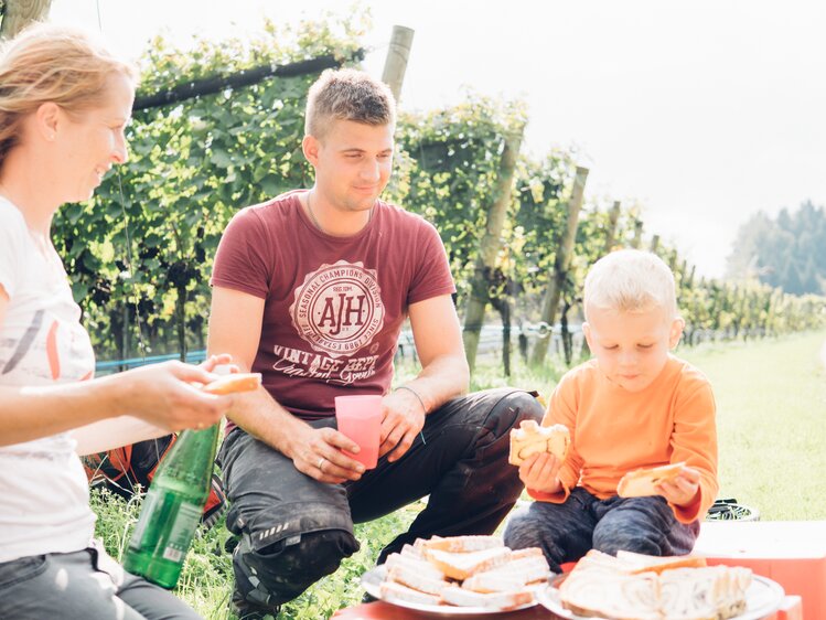 junge Winzerfamilie mit Kind bei Lesepause im Weingarten, Peiserhof, Steiermark | © Urlaub am Bauernhof Steiermark / Daniel Gollner