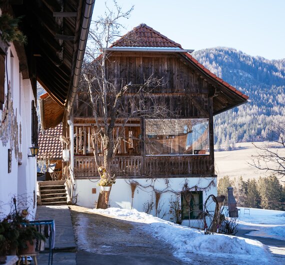 Aussenbereich vom Bauernhof Plank, Reitbauernhof in der Steiermark | © Urlaub am Bauernhof Steiermark / Daniel Gollner