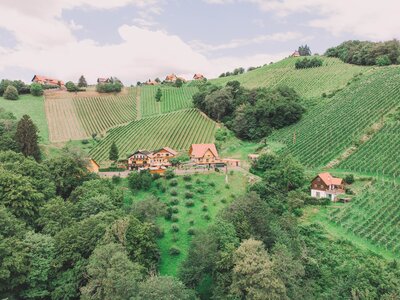 Luftaufnahme vom Bauernhof und der Umgebung, Stoff, Steiermark | © Urlaub am Bauernhof Steiermark / Sabine Ertl Luftaufnahme der wunderschönen Umgebung mit Weinbergen und des Betriebes der Familie Stoff | © Urlaub am Bauernhof Steiermark / Sabine Ertl