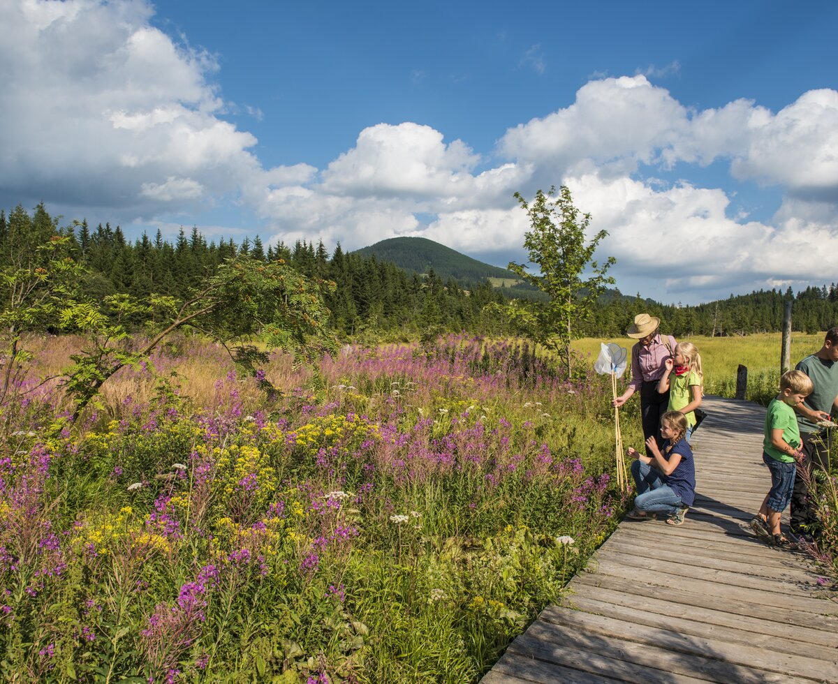 Naturparkwanderung im Pöllauertal, Oststeiermark | © TRV Oststeiermark / Bernhard Bergmann Familie bei einer Naturparkwanderung und erkunden der Pflanzenwelt | © TRV Oststeiermark / Bernhard Bergmann