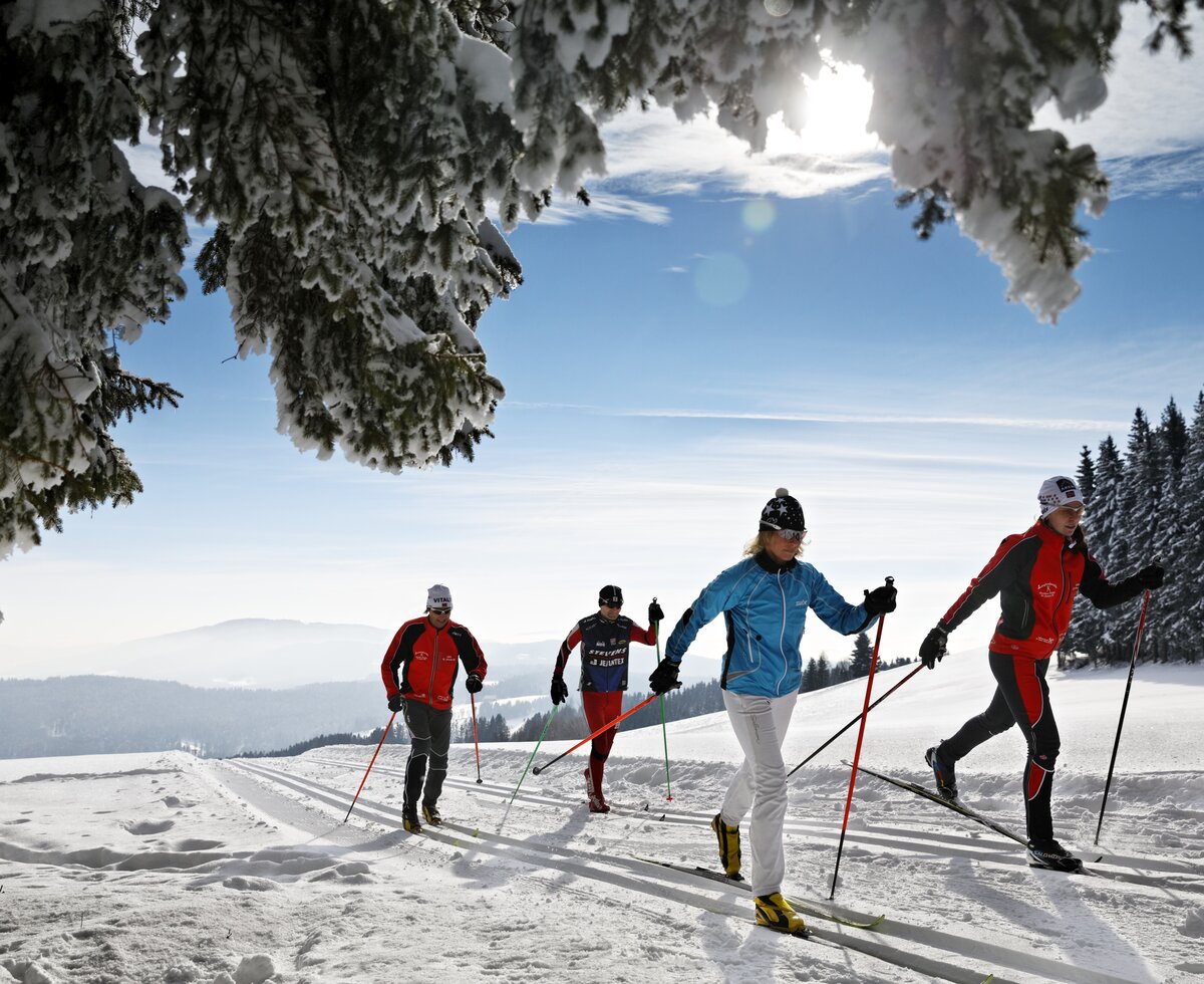 Langlaufen in der Oststeiermark | © TRV Oststeiermark / Bernhard Bergmann Langläufer auf der Loipe in der Oststeiermark | © TRV Oststeiermark / Bernhard Bergmann