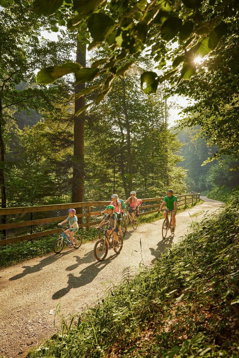 Familie fährt mit Fahrrädern durch die Stubenbergklamm, Oststeiermark, Steiermark | © Region Oststeiermark / Markus Lang-Bichl