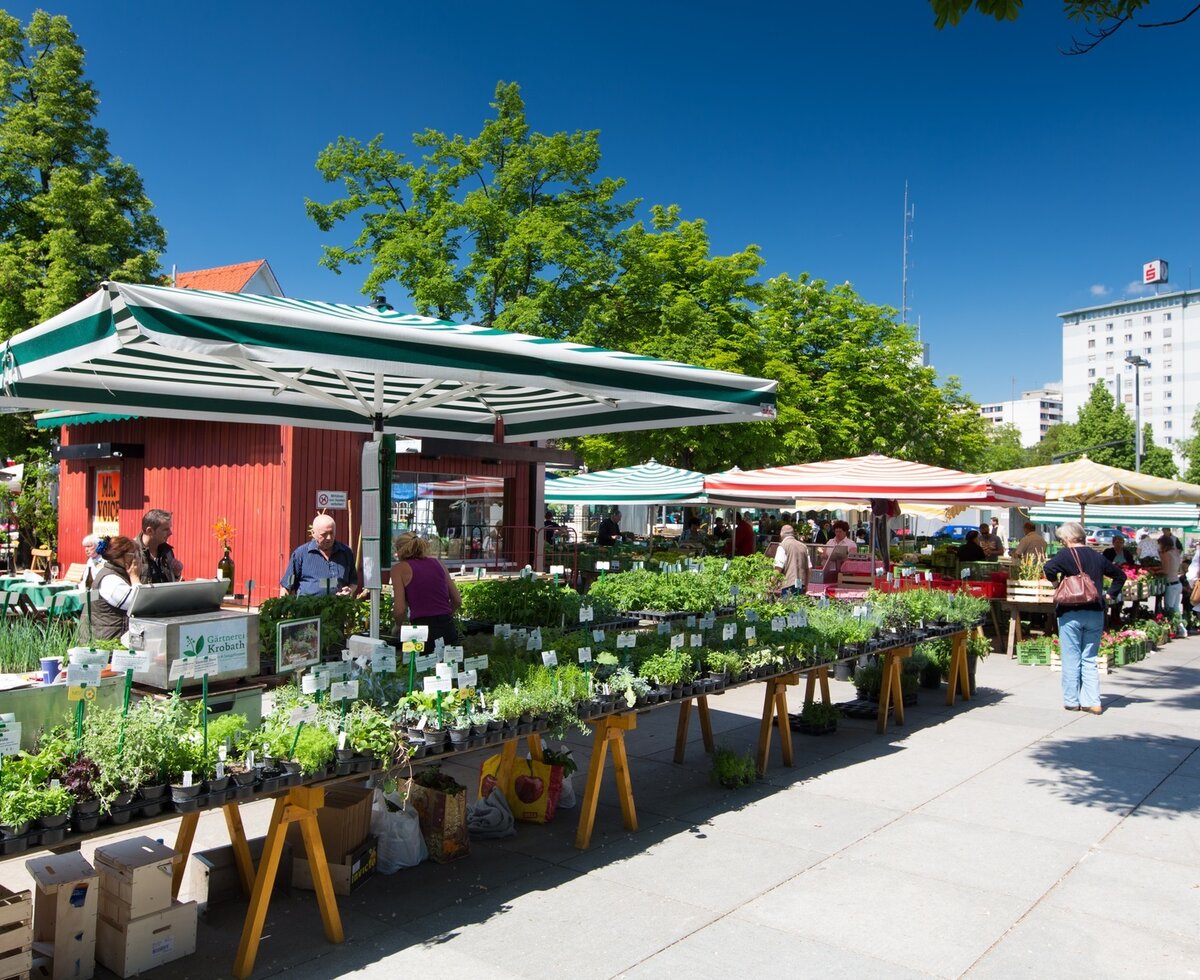 Bauernmarkt am Lendplatz, Graz, Steiermark | © Graz Tourismus / Harry Schiffer Bllick auf die Stände am Bauernmarkt Lendplatz, Graz, Steiermark | © Graz Tourismus / Harry Schiffer