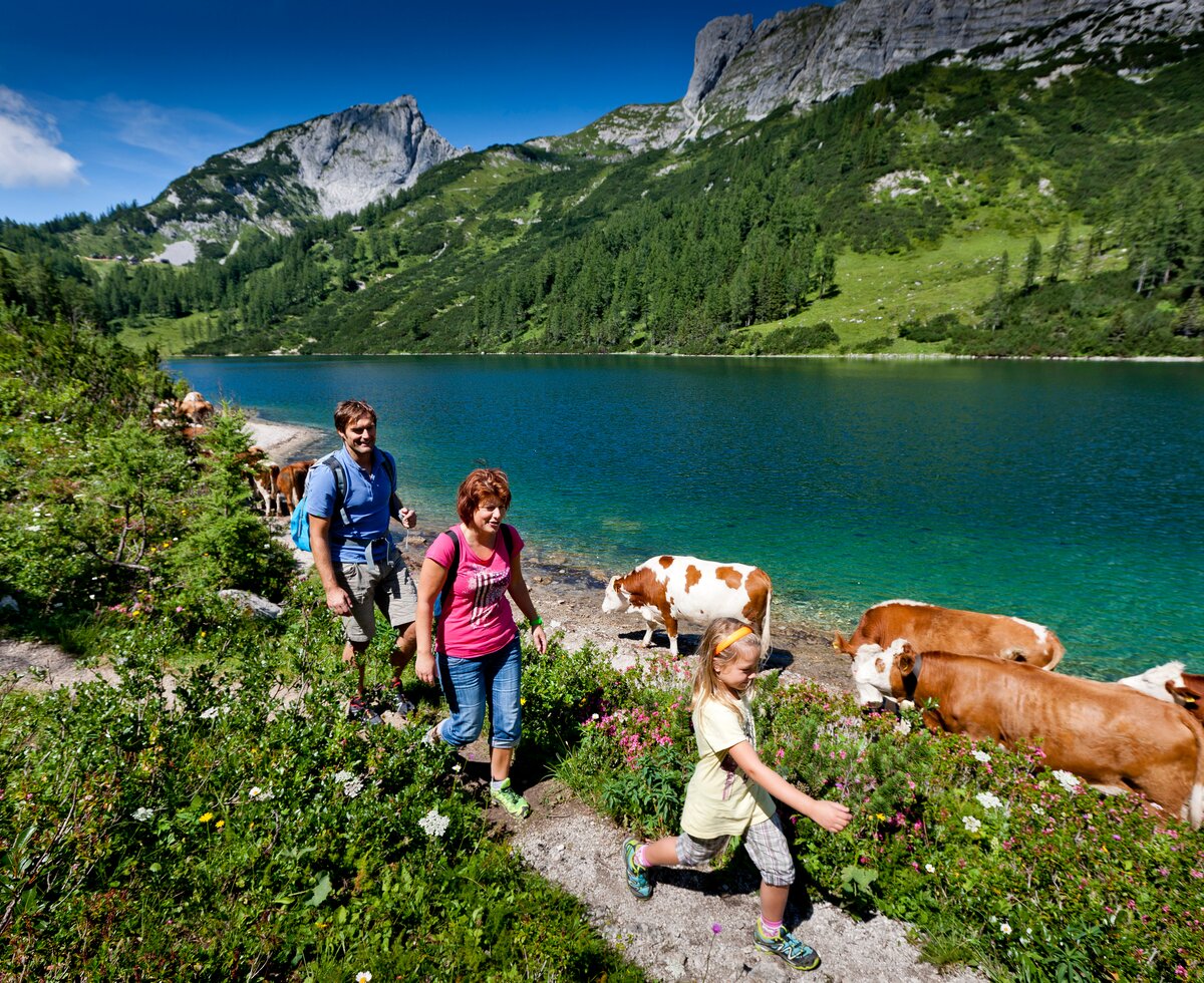Familienwanderung auf der Tauplitzalm, Ausseerland-Salzkammergut, Steiermark | © TRV Ausseerland-Salzkammergut / Tom Lamm Familie beim Wandern auf der Tauplitzalm, Ausseerland-Salzkammergut, Steiermark | © TRV Ausseerland-Salzkammergut / Tom Lamm