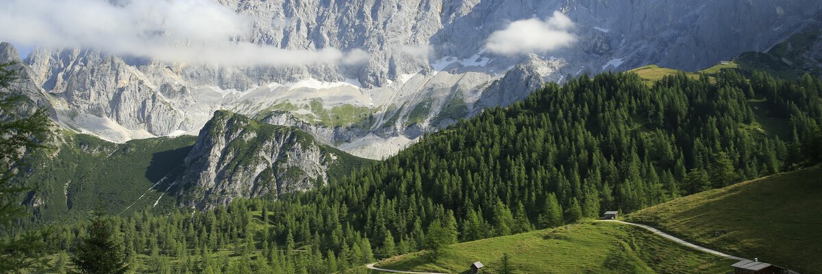 Blick auf den Dachstein, Schladming-Dachstein, Steiermark | © Schladming-Dachstein / Herbert Raffalt