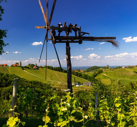 Klapotetz thront zwischen den Weinreben, Südsteiermark, Steiermark | © Südsteiermark / Harry Schiffer