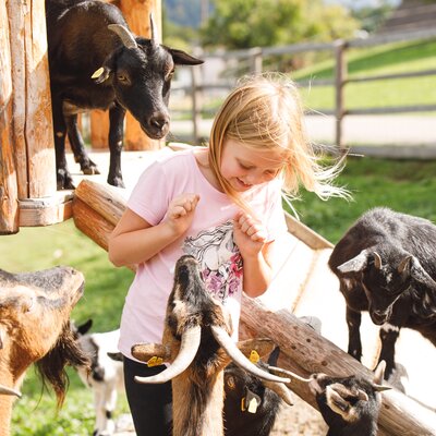 Mädchen mit Ziegen, Forstbauer, Steiermark | © Urlaub am Bauernhof / Punkt & Komma