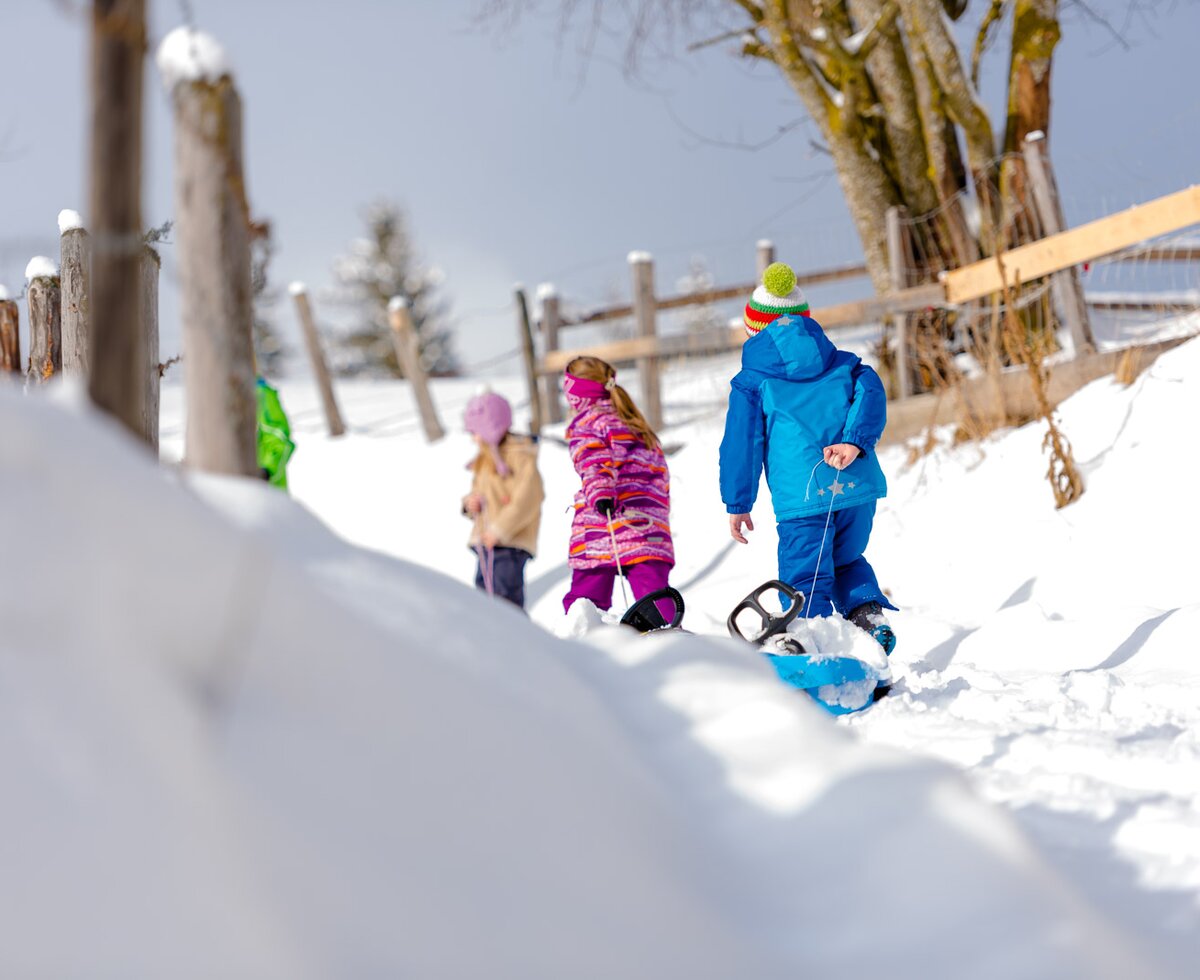 Kinder ziehen ihre Bobs, Urlaubsregion Murau-Murtal, Steiermark | © Urlaub am Bauernhof Steiermark / Wolfgang Spekner Drei Kinder ziehen ihre Bobs zum Startpunkt, Urlaubsregion Murau-Murtal, Steiermark | © Urlaub am Bauernhof Steiermark / Wolfgang Spekner
