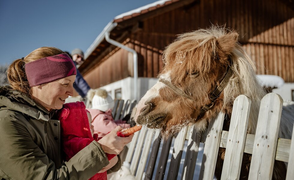 Eine Frau gibt gemeinsam mit einem kleinen Kind einem Pony eine Karotte im Winter.  | © UaB Steiermark / Wolfgang Spekner