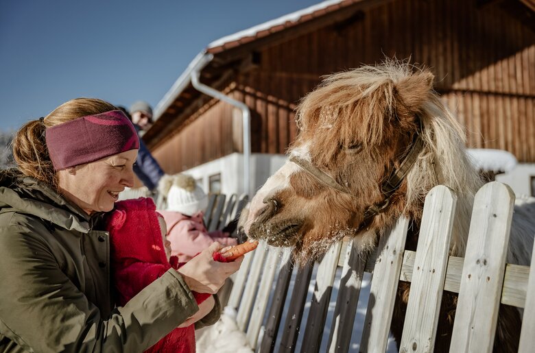 Eine Frau gibt gemeinsam mit einem kleinen Kind einem Pony eine Karotte im Winter.  | © UaB Steiermark / Wolfgang Spekner
