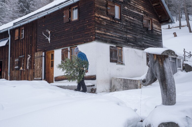 Thomasegg, Graberalm Zirl | © Tirol Werbung/Martina Wiedenhofer
