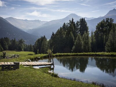 Badeteich | © Urlaub am Bauernhof Tirol