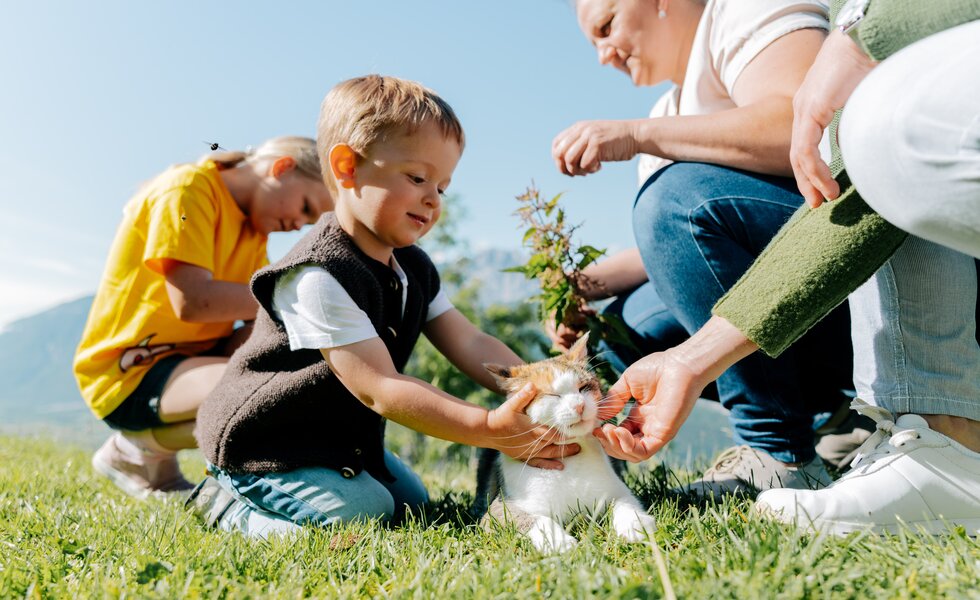 Kind mit Katze, Kräuter | © TVB Osttirol/ Elias Bachmann