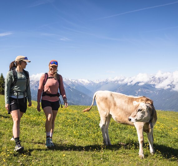  Patscherkofel - Gipfel | © © Innsbruck Tourismus / Eye5 - Jonas Schwarzwälder