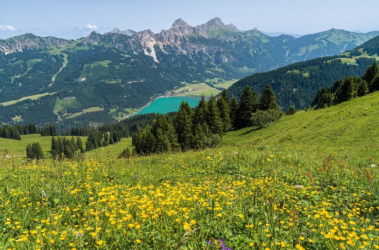 Landschaft See | © TVB Tannheimer Tal/ Achim Meurer