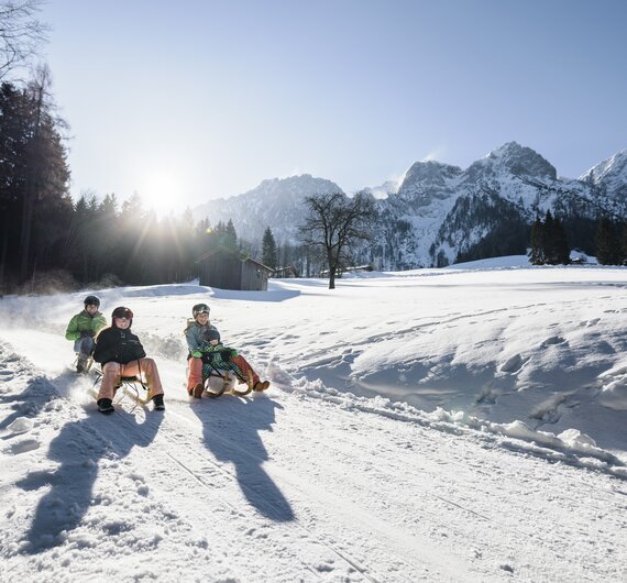 Rodeln Aschinger Alm | © TVB Kufsteinerland/ Max Draeger