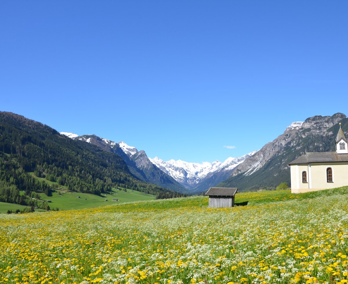 Gschnitztal | © Urlaub am Bauernhof - TVB Wipptal Gschnitztal | © Urlaub am Bauernhof - TVB Wipptal