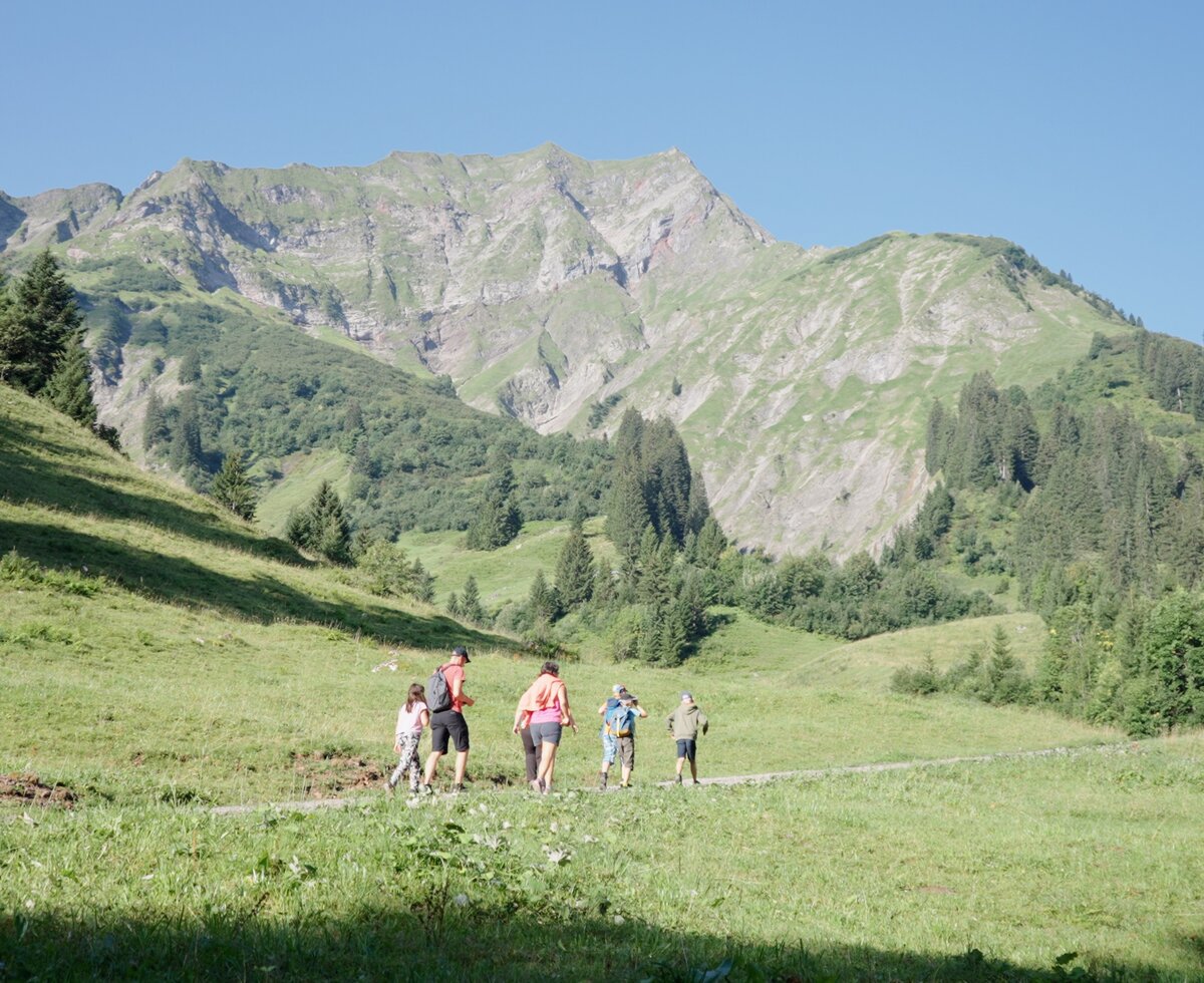 Wandern im Alpgebiet der Alpe Felle | © Urlaub am Bauernhof / Daniel Gollner