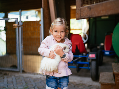 Mädchen hält Meerschweinchen | © Urlaub am Bauernhof / Daniel Gollner Ein Kind hält ein weißes Meerschweinchen in der Hand | © Urlaub am Bauernhof / Daniel Gollner