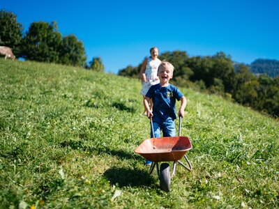 Bub mit Scheibtruhe | © Urlaub am Bauernhof Vorarlberg / Daniel Gollner Bub mit Scheibtruhe auf der Wiese | © Urlaub am Bauernhof Vorarlberg / Daniel Gollner