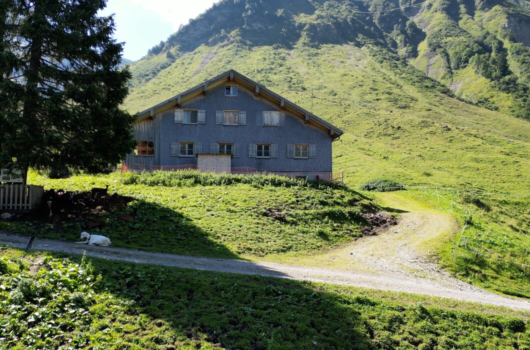 Im Wandergebiet Warth Schröcken | © Urlaub am Bauernhof / Daniel Gollner