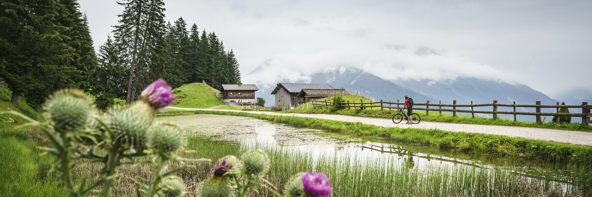 E-Biker rastet beim Fritzensee im Montafon in Vorarlberg | © Urlaub am Bauernhof Vorarlberg / Dietmar Denger
