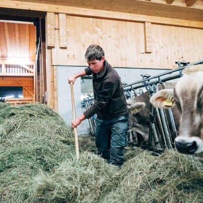 Landwirt Thomas füttert die Tier | © Urlaub am Bauernhof Vorarlberg / Daniel Gollner 