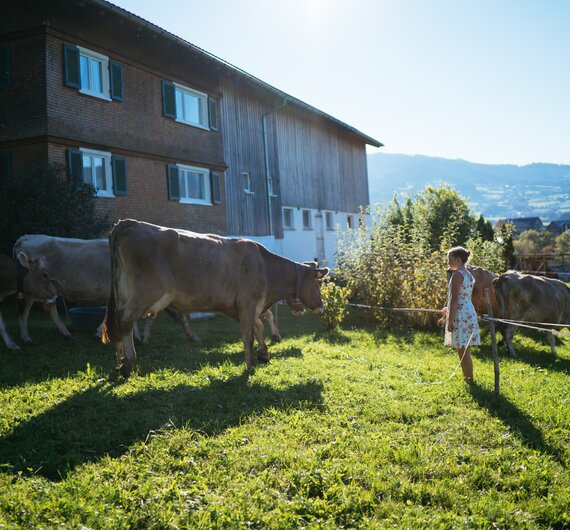 Mädchen bei den Kühen vor dem Hof | © Urlaub am Bauernhof Vorarlberg / Daniel Gollner