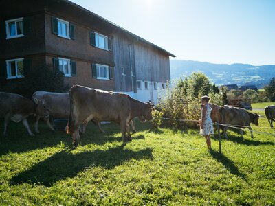 Mädchen bei den Kühen | © Urlaub am Bauernhof Vorarlberg / Daniel Gollner Mädchen bei den Kühen vor dem Hof | © Urlaub am Bauernhof Vorarlberg / Daniel Gollner