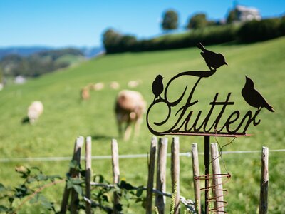 Futterstelle für Vögel | © Urlaub am Bauernhof Vorarlberg / Daniel Gollner Schild Futterstelle für Vögel im Garten | © Urlaub am Bauernhof Vorarlberg / Daniel Gollner