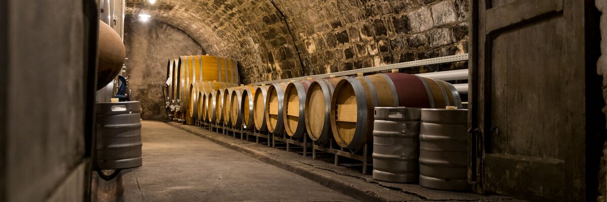 Stone-arched cellar filled with rows of wooden wine barrels, dimly lit with spotlights, a tunnel-like atmosphere.