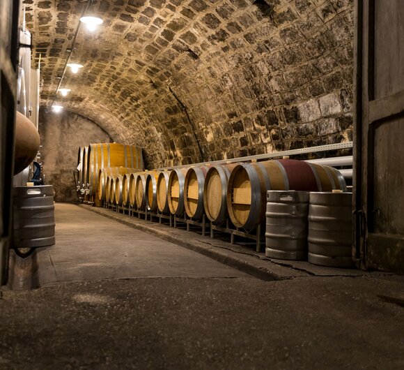 Eine Reihe von großen, barriqueartigen Weinfässern in einem dunkel gewölbten Keller aus Naturstein. Die Fässer stehen in Schlaufen entlang der Wände und der Raum ist beleuchtet durch eine Reihe von Lampen.
