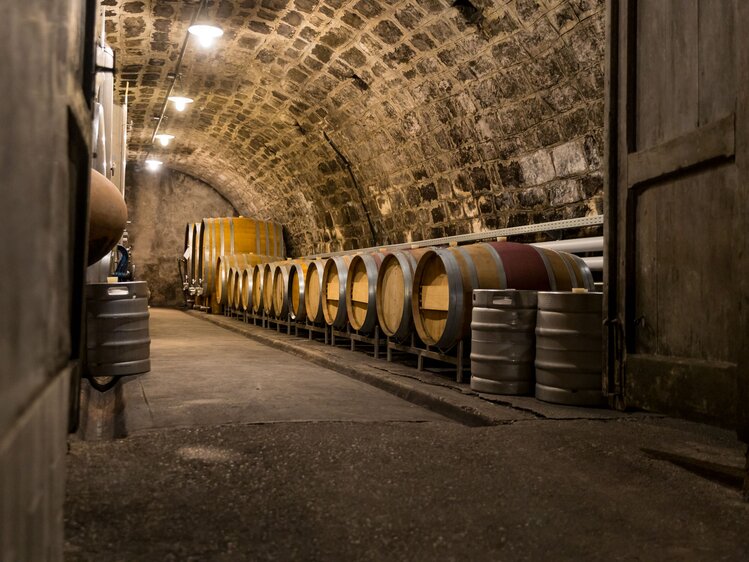 Eine Reihe von großen, barriqueartigen Weinfässern in einem dunkel gewölbten Keller aus Naturstein. Die Fässer stehen in Schlaufen entlang der Wände und der Raum ist beleuchtet durch eine Reihe von Lampen.