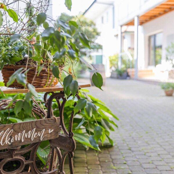courtyard of the house, surrounded by plants.