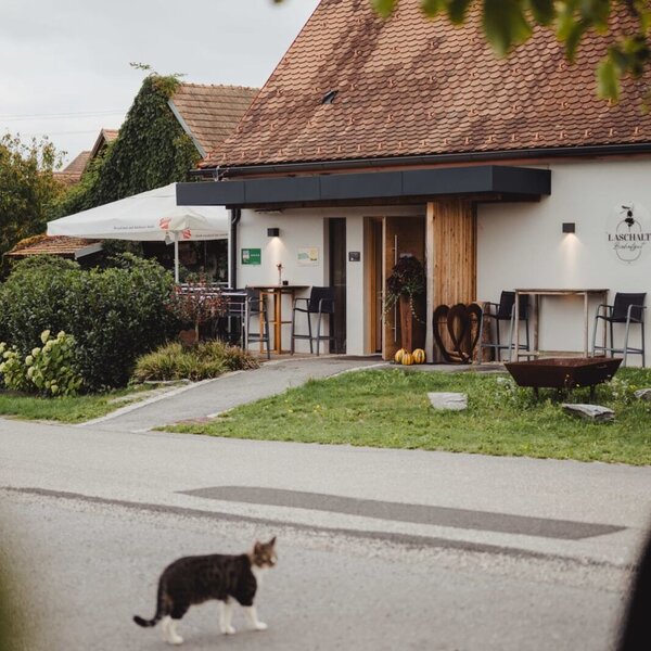Exterior view of the farmhouse with a white facade, brown tiled roof, and outdoor seating areas; a cat crosses the road in the foreground.