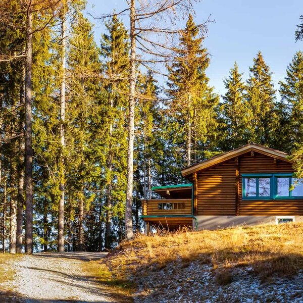 Die hölzerne Alm mit Balkon ist von hohen Nadelbäumen umgeben und über einen Schotterweg erreichbar.
