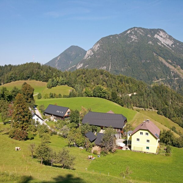 Der Bauernhof mit seinen Gebäuden, umgeben von grünen Wiesen und Bergen.