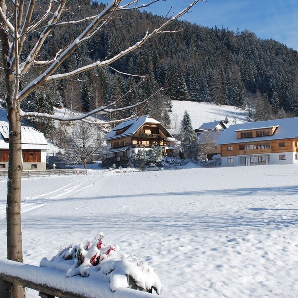 The Farm House and its surrounding buildings are seen in a snow-covered winter landscape with a forested mountain.