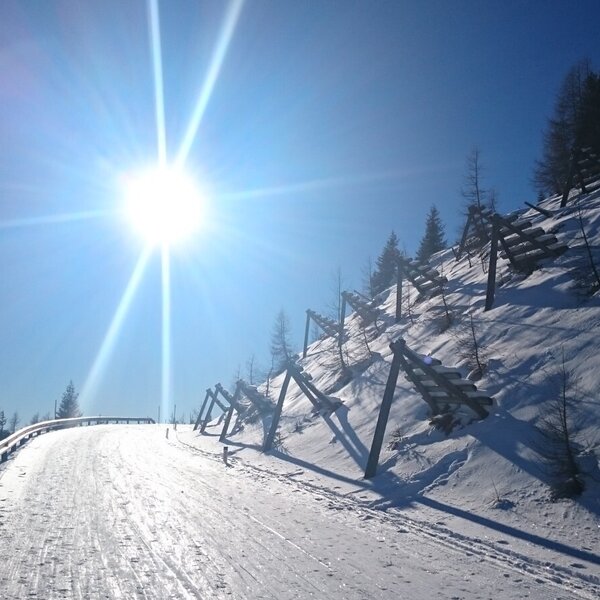 A sunny, snow-covered mountain path with avalanche barriers on the hillside, showcasing the winter landscape near the farmhouse.