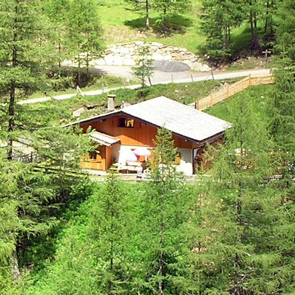 The Alpine Hut, a traditional wooden building with a tiled roof, is nestled among tall green trees and includes an outdoor patio with a red umbrella.