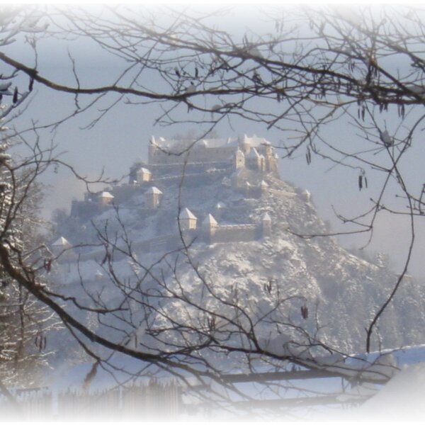 View of a snow-covered castle on a distant hill, framed by bare winter branches, representing the surrounding area of Sankt Georgen.