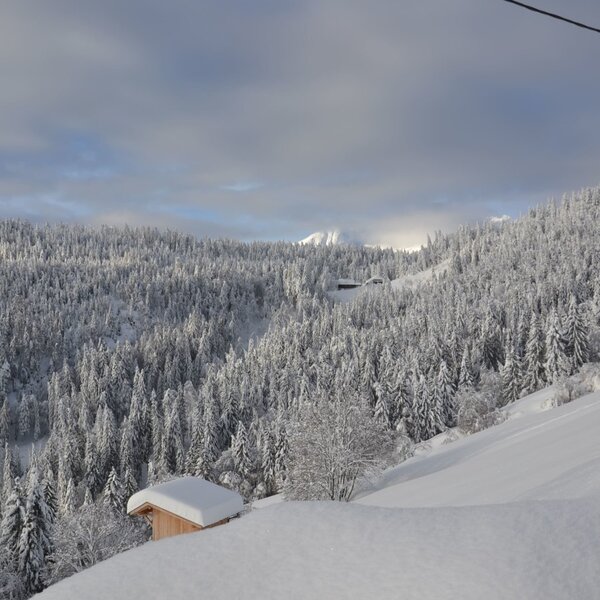 Aussicht auf die verschneite Berglandschaft mit Tannenwäldern vom Bauernhof.