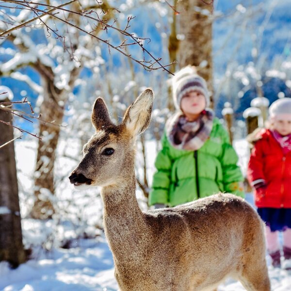 Children observe a deer in the snowy winter landscape surrounding the farmhouse.