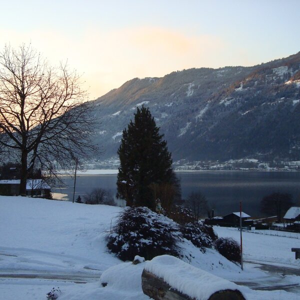 Even in winter a delight! Winter 2012/2013