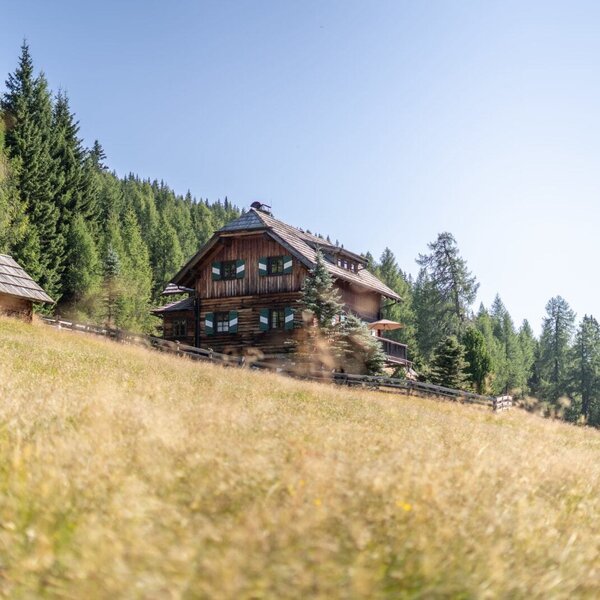 Die Alm, ein Holzhaus mit grünen Fensterläden und einer Terrasse, steht zusammen mit einem kleineren Holzschuppen auf einer Wiese am Waldrand.